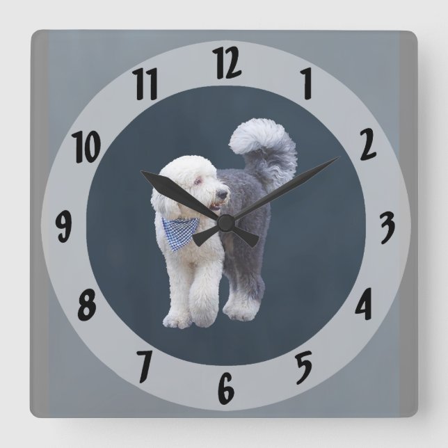 Relógio Quadrado Sheepadoodle Com Cachecol Xadrez Azul (Frente)