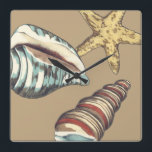 Relógio Quadrado Shell Trio em Khaki<br><div class="desc">Megan Meagher é conhecida por suas simples peças de arte. Esta é uma imagem excelente da arte decorativa capturando a vida marinha com uma estrela amarela e uma concha azul e vermelha. Pegue este impressão de arte hoje na cor Khaki em seu produto Zazzle.</div>