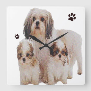 Relógio Quadrado Shih-tzu 