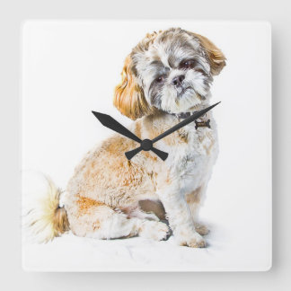 Relógio Quadrado Shih Tzu Dog Wall Clock