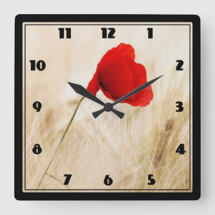 Relógio Quadrado Single Red Poppy in a Grassy Field