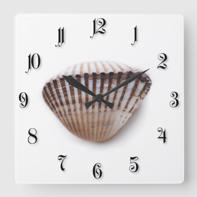 Relógio Quadrado Single seashell (Frente)