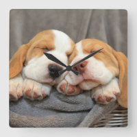 Sleepy Puppies