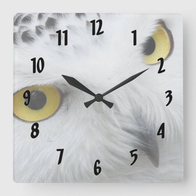 Relógio Quadrado Snow Owl (Frente)