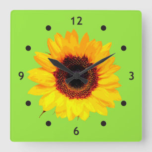 Relógio Quadrado Somente uma flor do girassol + seus texto & ideias