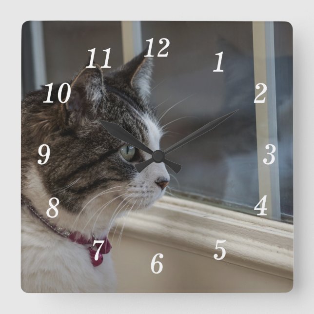 Relógio Quadrado Sonhando Com O Clima Mais Quente Para Sair Do Reló (Frente)