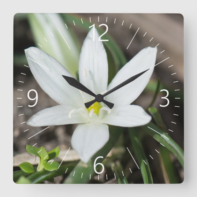 Relógio Quadrado Spring flowers (Frente)