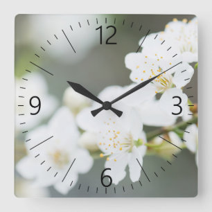 Relógio Quadrado Springtime blooming