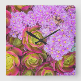 Relógio Quadrado Suculentes