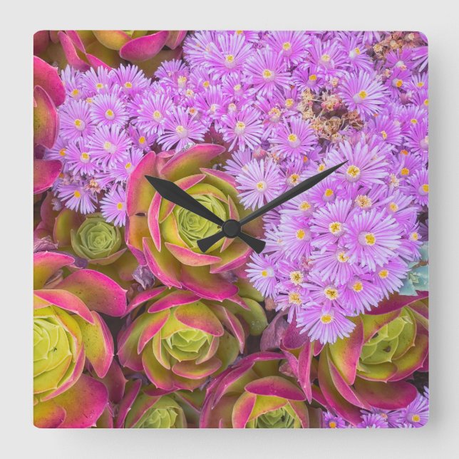 Relógio Quadrado Suculentes (Frente)