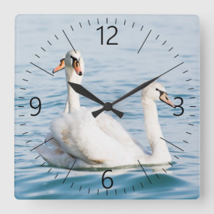 Relógio Quadrado Swans