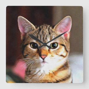 Relógio Quadrado Tabby Artístico Cat Kitten Retrato