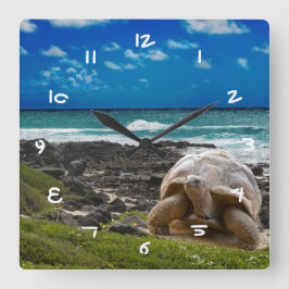 Relógio Quadrado Tartaruga grande no bordo do mar