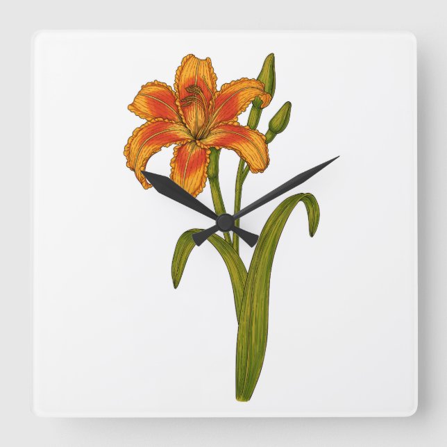 Relógio Quadrado Tawny Daylily (Frente)