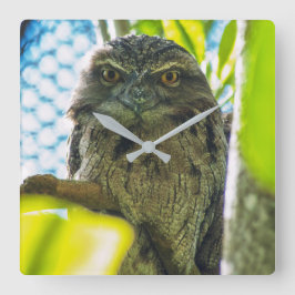 Relógio Quadrado Tawny is No Owl