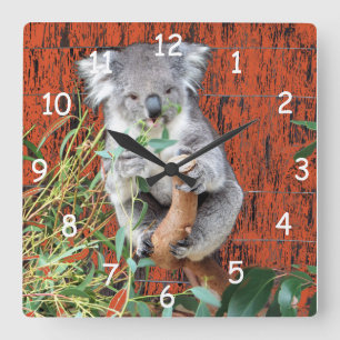 Relógio Quadrado Tempo do petisco do Koala