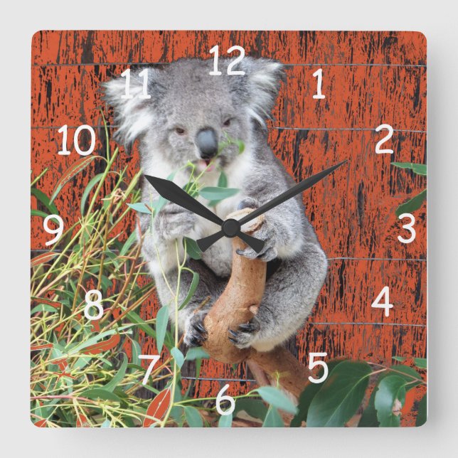 Relógio Quadrado Tempo do petisco do Koala (Frente)