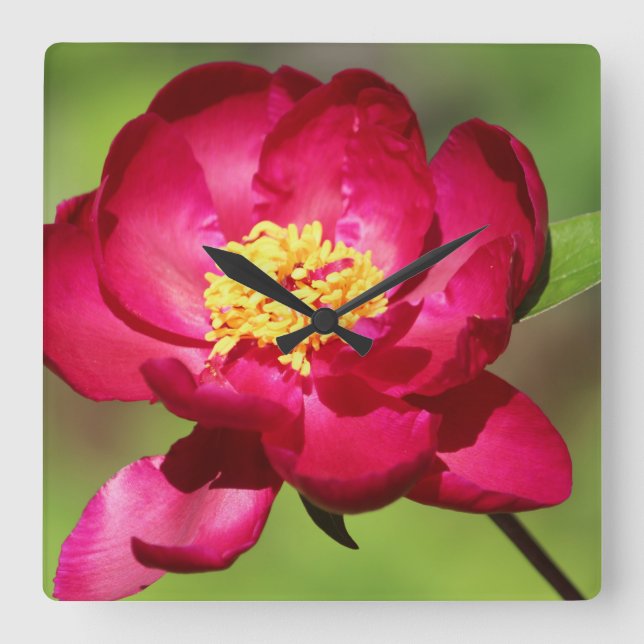 Relógio Quadrado Tendência Rosa Quente (Frente)