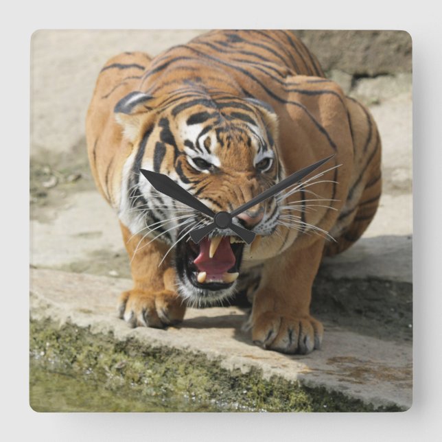 Relógio Quadrado Tiger_2015_0156 (Frente)