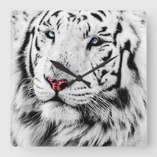 Relógio Quadrado Tigre branco (Frente)