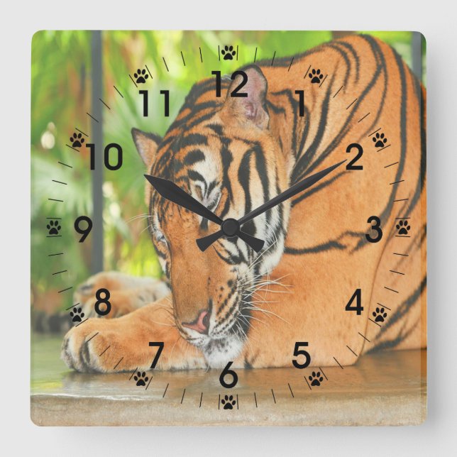 Relógio Quadrado Tigre de dormir (Frente)