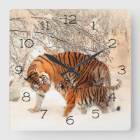 Tigres de inverno