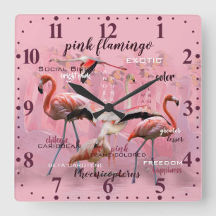 Relógio Quadrado Tipografia cor-de-rosa   do flamingo personalizado