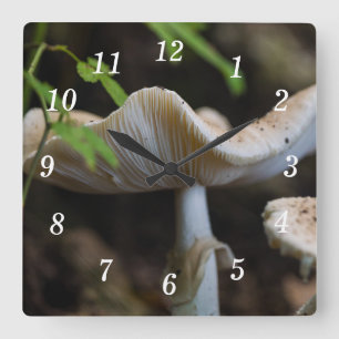 Relógio Quadrado Toadstool Guarda-chuvas
