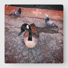 Relógio Quadrado Três aves, no lado da água