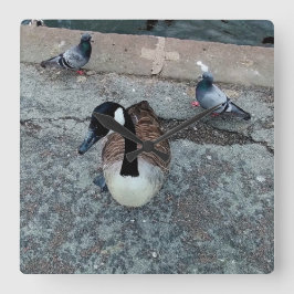 Relógio Quadrado Três aves, no lado da água