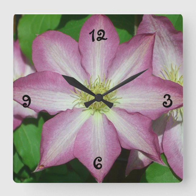 Relógio Quadrado Trio de Vinha-Primavera branca e rosa-clematis (Frente)