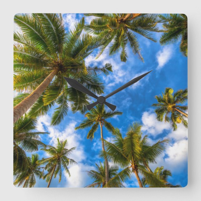 Relógio Quadrado Tropical Beaches | Palm Trees on Blue Sky (Frente)