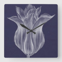 Tulipa III monocromática