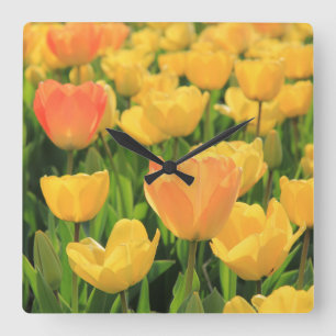 Relógio Quadrado Tulipas do amarelo alaranjado por Thespringgarden