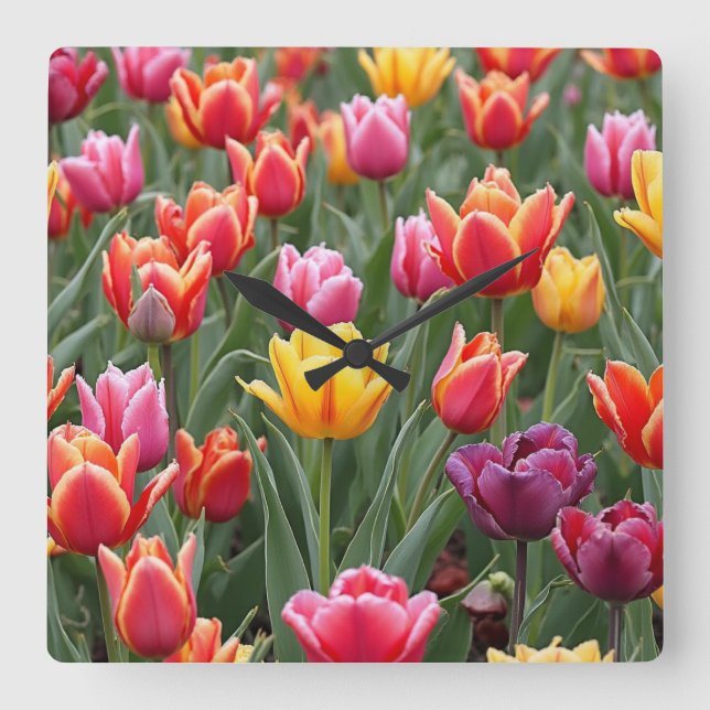 Relógio Quadrado Tulipas Holandesas (Frente)