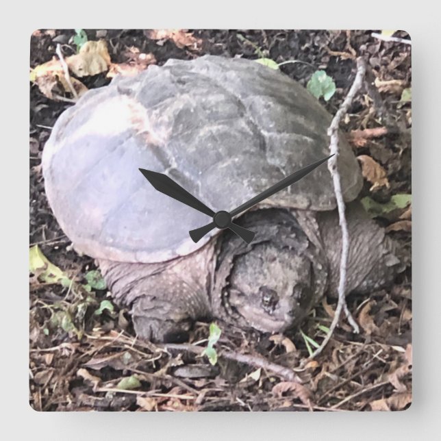 Relógio Quadrado Turtle Clock (Frente)