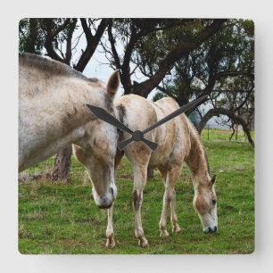 Relógio Quadrado Two Muddy White Horses Grazing,