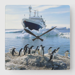 Relógio Quadrado Um grupo de pinguins que estão em uma praia gelad