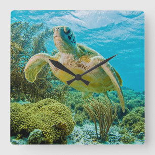 Relógio Quadrado Uma tartaruga verde nos recifes rasos de Bonaire