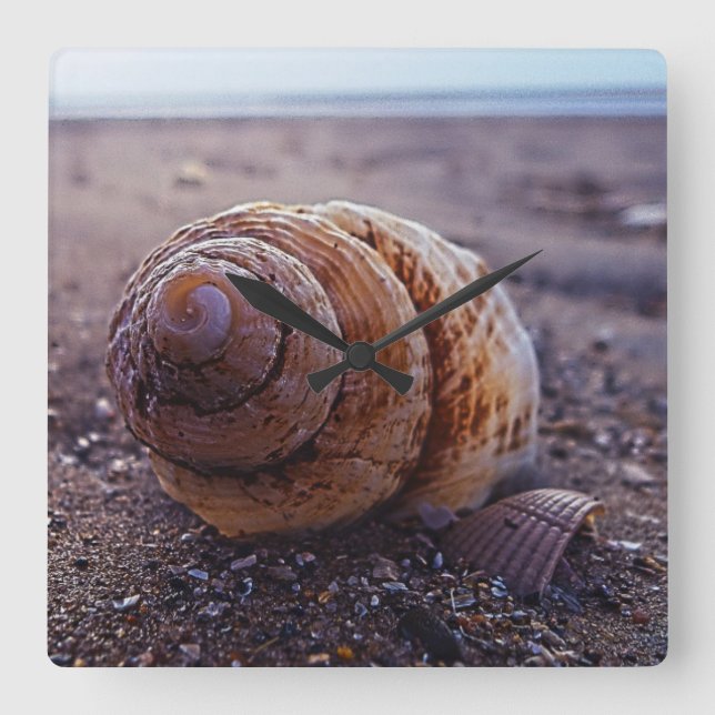 Relógio Quadrado Uma Visão Macro De Uma Shell Espiral (Frente)