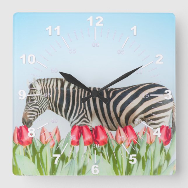 Relógio Quadrado Uma zebra entre as tulipas (Frente)