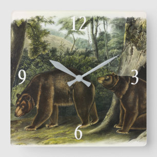 Relógio Quadrado Urso Cinamão dos Quadrupes de Audubon