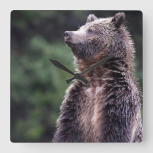 Relógio Quadrado Urso de urso ereto