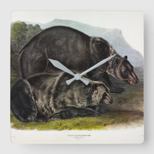 Relógio Quadrado Urso Grizzly (Urso Marrom Norte-Americano) - Audub