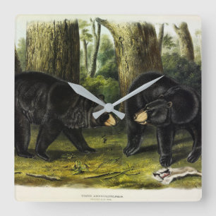 Relógio Quadrado Urso Negro Americano (Ursus Americanus) por Audubo