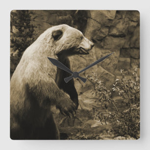 Relógio Quadrado Urso orgulhoso