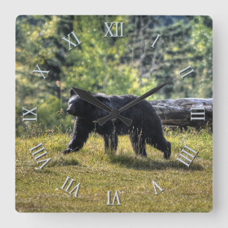 Relógio Quadrado Urso preto selvagem & arte canadense da foto da