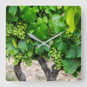 Relógio Quadrado Vinho Em Cultura, França