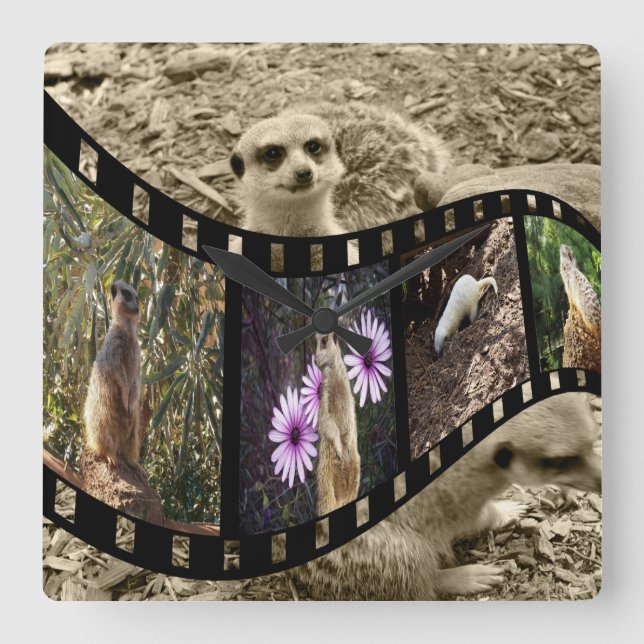 Relógio Quadrado Vintage Meerkat Photo Strip, (Frente)