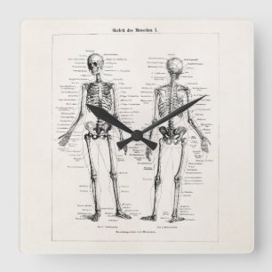Relógio Quadrado Vintage Skeleton Anatomia Humana Ossos Crânio